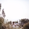 Beach Wedding Ireland Pawel Bebenca  image