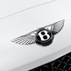 Munster Bentley Hire image