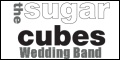 Advertisement for The Sugar Cubes Band