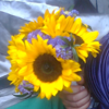 Petite Fleurs 8 image