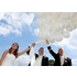 Buzz Events - Balloon D�cor image