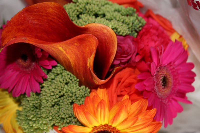 Flowers1.jpg
