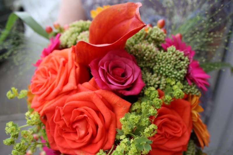 Flowers2.jpg