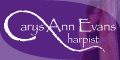 Advertisement for Carys Ann Evans