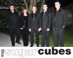 Advertisement for Sugar Cubes Band