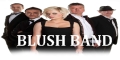 Advertisement for Blush Band