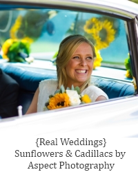 aspect wedding