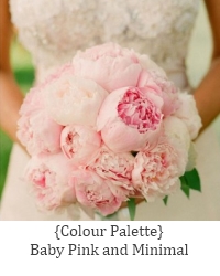 baby pink palette