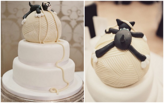 cake cat twine