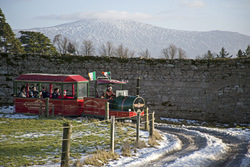 CHRISTMAS AT THE CASTLE image
