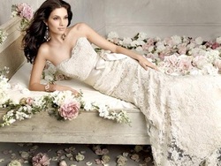 alfred angelo image