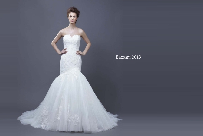 ENZOANI 2013  image