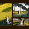 Romantic Italian Weddings 23 image