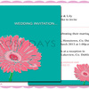 Rosy Days  Gerbera_Day image