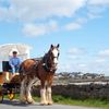 Aran Islands Hotel 1 image