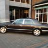 Celtic Limos 9 image