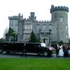 Celtic Limos 10 image