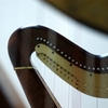 Anne-Marie O&#039;Farrell - Church Harpist &amp; Singer 3 image