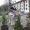 Staunton Wedding Carriages 2 image