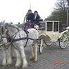 Staunton Wedding Carriages 3 image