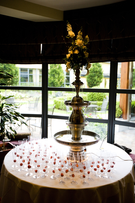 Champagne Fountains  image