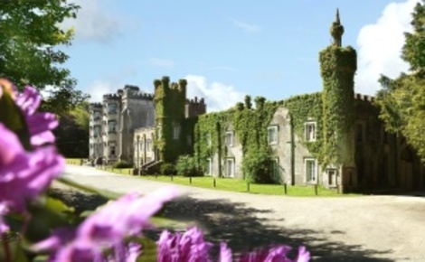 Ballyseede Castle Hotel image