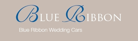 Blue Ribbon Wedding Centre image