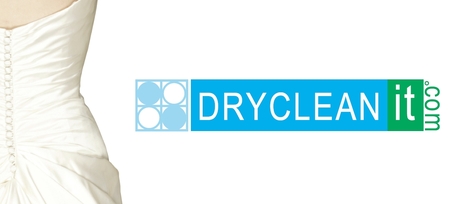 Dry Clean It Logo image
