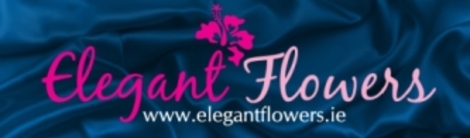 elegant logo image