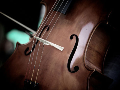 Appassionata String Quartet  image