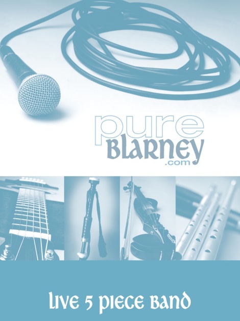 Pure Blarney image