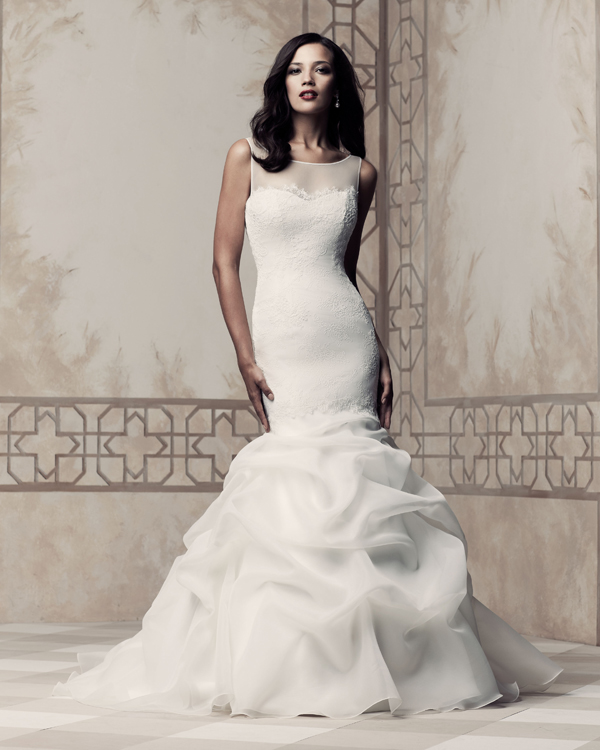 paloma blanca 4364