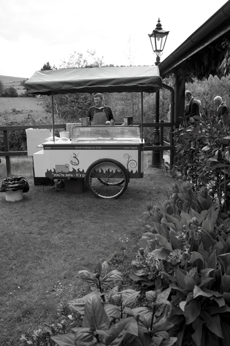 ice cream cart wedding ireland