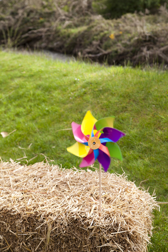 pinwheel colourful decor wedding