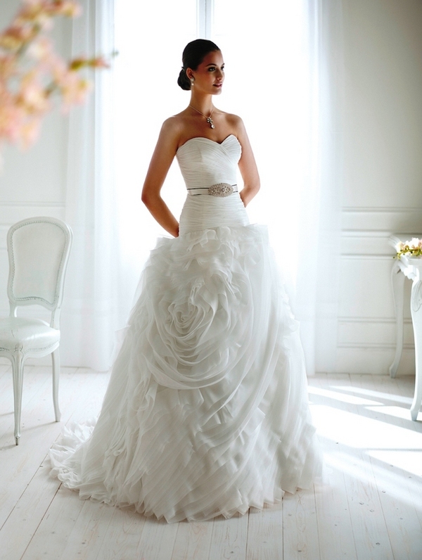 novia dart boston