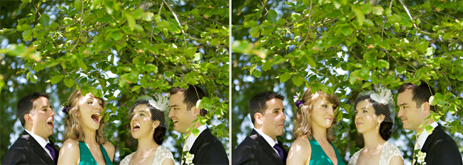 wedding party outdoors