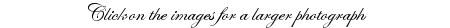 click.gif (2540 bytes)