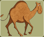 Gift of a Camel