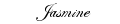 jasmine.gif (1210 bytes)